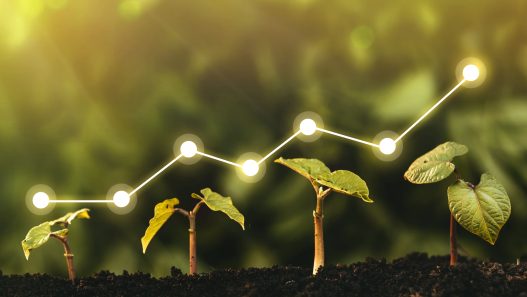 Sostenibilità percepita come costo: trasformare la spesa in investimento redditizio - Paolo Sordo