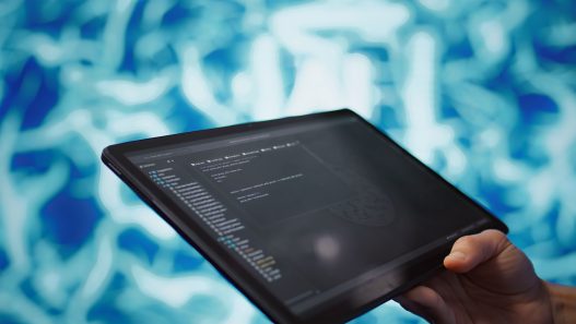 Data analytics PMI: l’AI al servizio delle decisioni - Paolo Sordo