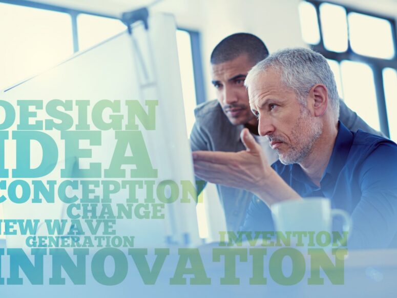 Portafolio Innovazioni